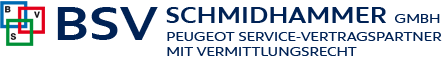 bsv-schmidhammer-logo